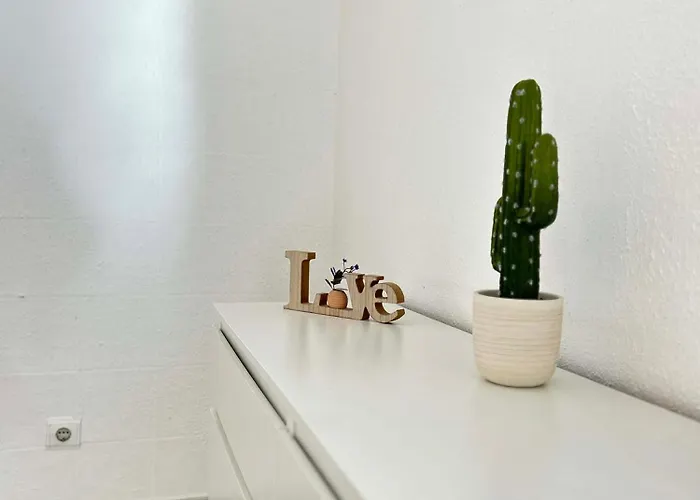 Casa Joao Bravo 公寓 *